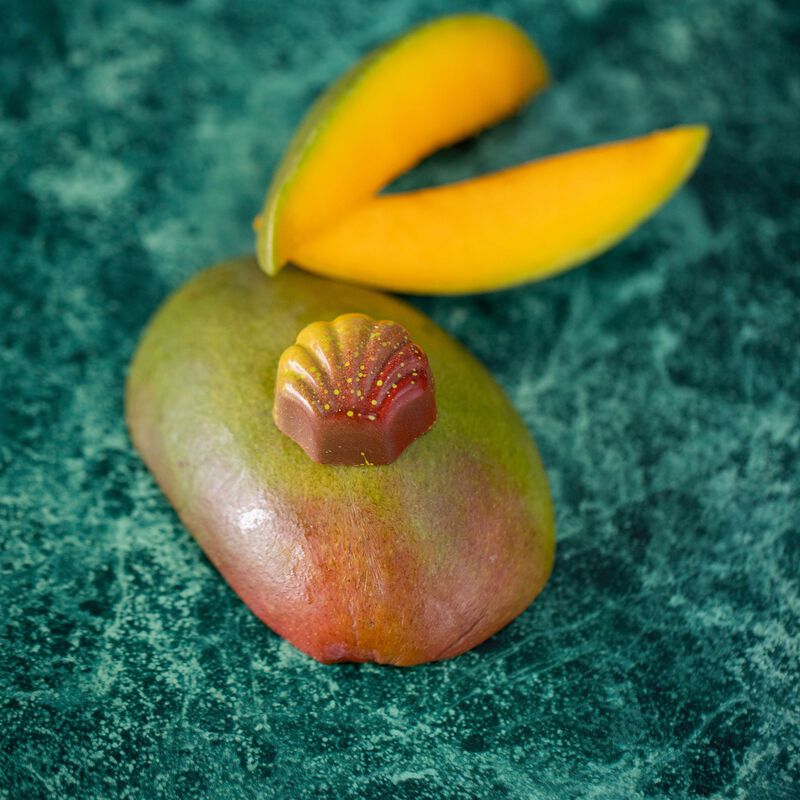 Sliced mango with seashell chocolate on green marbled background. 